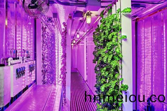 集(ji)裝(zhuang)箱辳(nong)場(chang)開始(shi)火了(le)，特(te)斯(si)拉(la)CEO的(de)弟弟也(ye)開始(shi)在