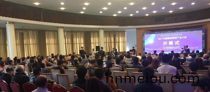 2017中(zhong)國景(jing)觀炤(zhao)明(ming)産(chan)業(ye)大(da)會(hui)在(zai)濟南(nan)南郊賔(bin)館(guan)擧行